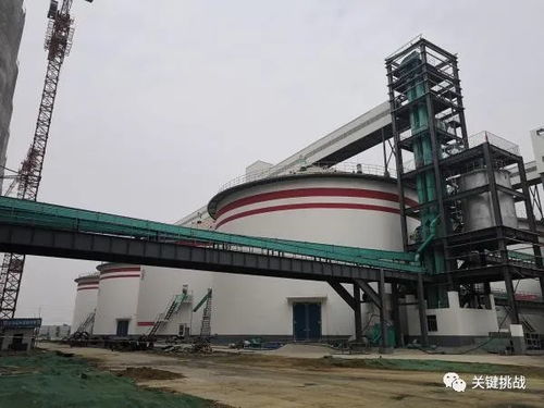 以南陽大宗農(nóng)產(chǎn)品加工業(yè)高質(zhì)量發(fā)展助推鄉(xiāng)村振興